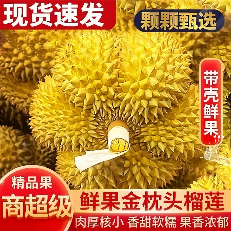 【现货速发】泰国进口金枕头榴莲软糯香甜液氮冷冻整个带壳坏果包赔