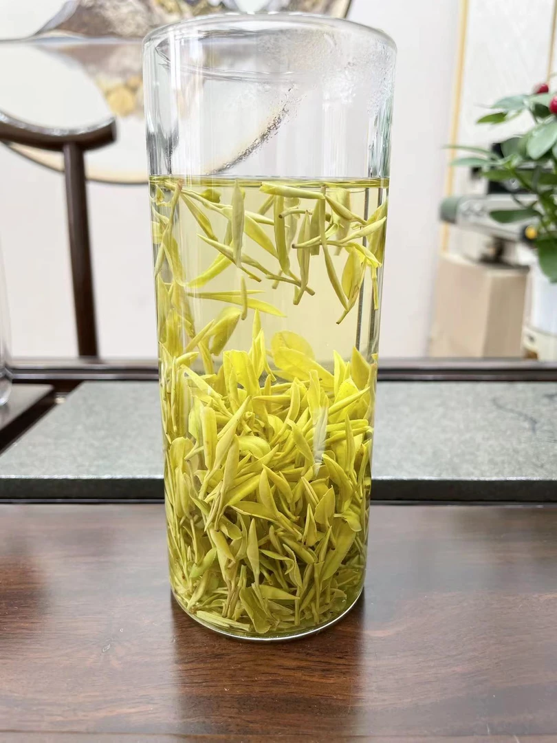 2024新茶 明前黄金芽 黄茶 回甘浓 高香 高端口粮 试喝