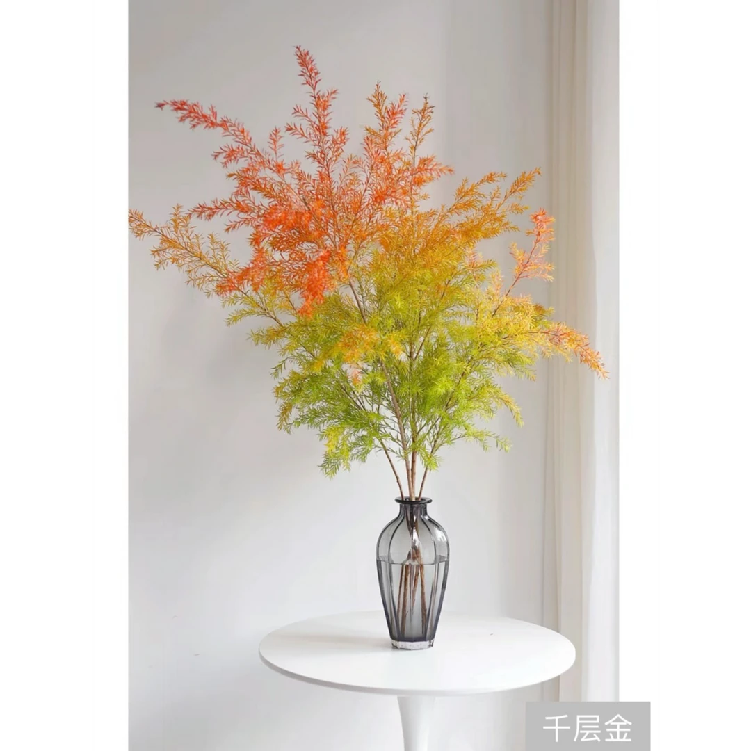 【千层金】自带香味 丨 高品质花材丨自带氛围感花材丨鲜花基地直发