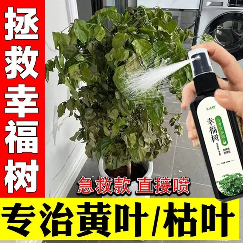 幸福树营养液专用肥复活掉叶黄叶枯萎烂根促发芽免稀释急救肥料