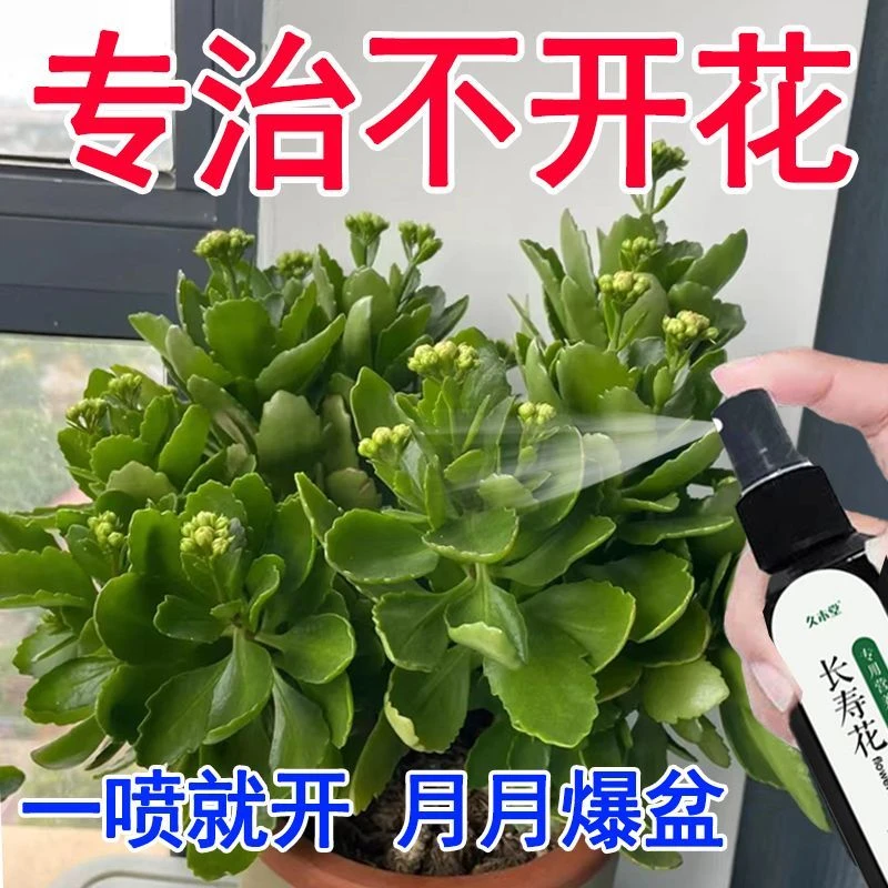 【一喷就开】长寿花专用营养液家用室内养花花卉液体肥促花生根剂