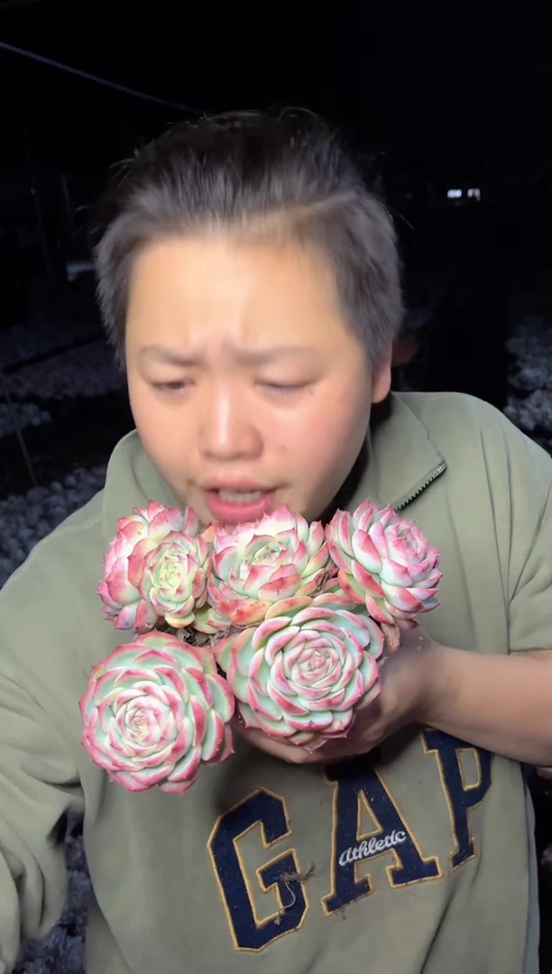 【闪购商品】18五头起侧影9.99