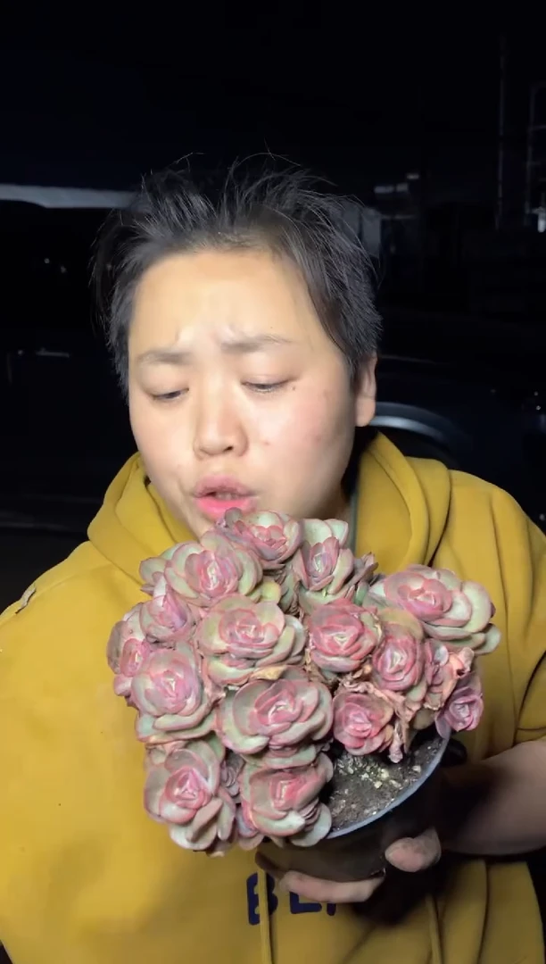 【闪购商品】42小叶秀妍群7.99