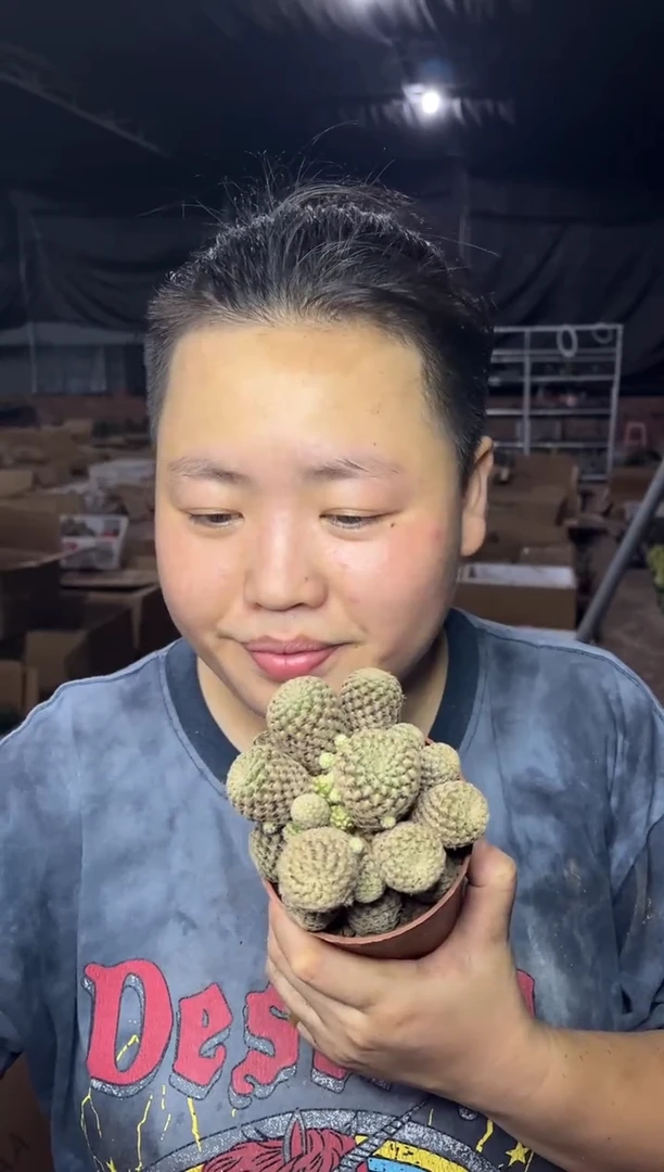 【闪购商品】8.16-15红宝石多头大群11.99