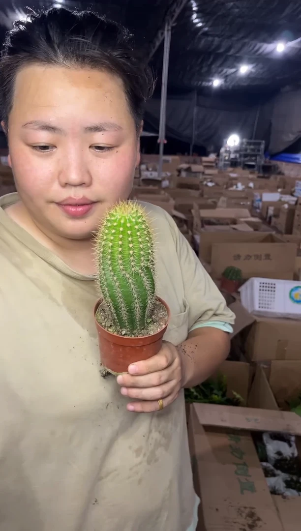【闪购商品】7.22-34实生飞碟9.99