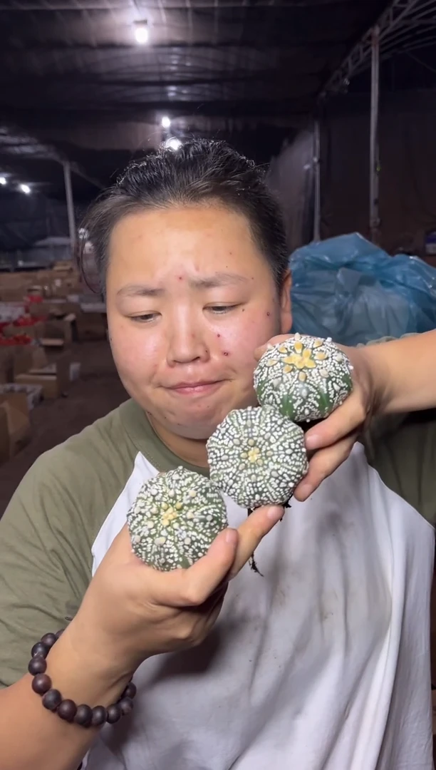 【闪购商品】8.24-45实生超兜4CM3颗9.99