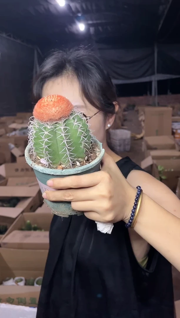 【闪购商品】8.18-30魔云19.99