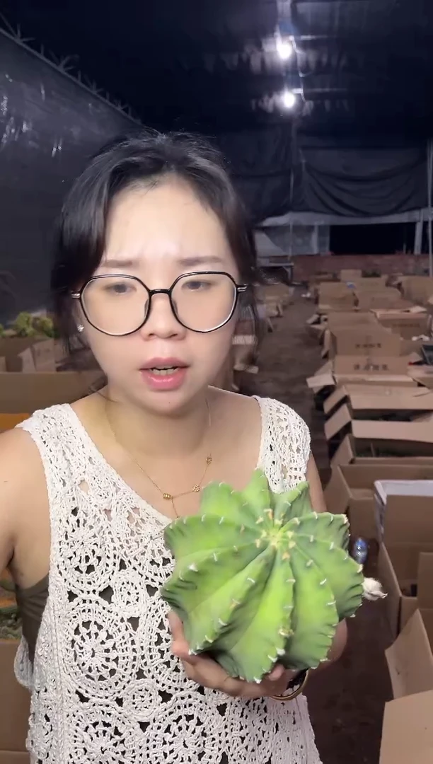 【闪购商品】8.19-30短毛丸9.99