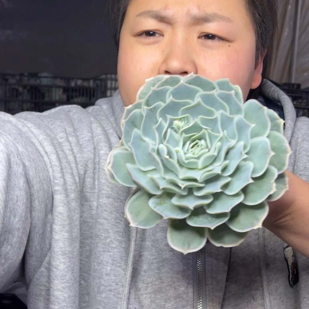 【闪购商品】12.21-219清货价蓝丝绒