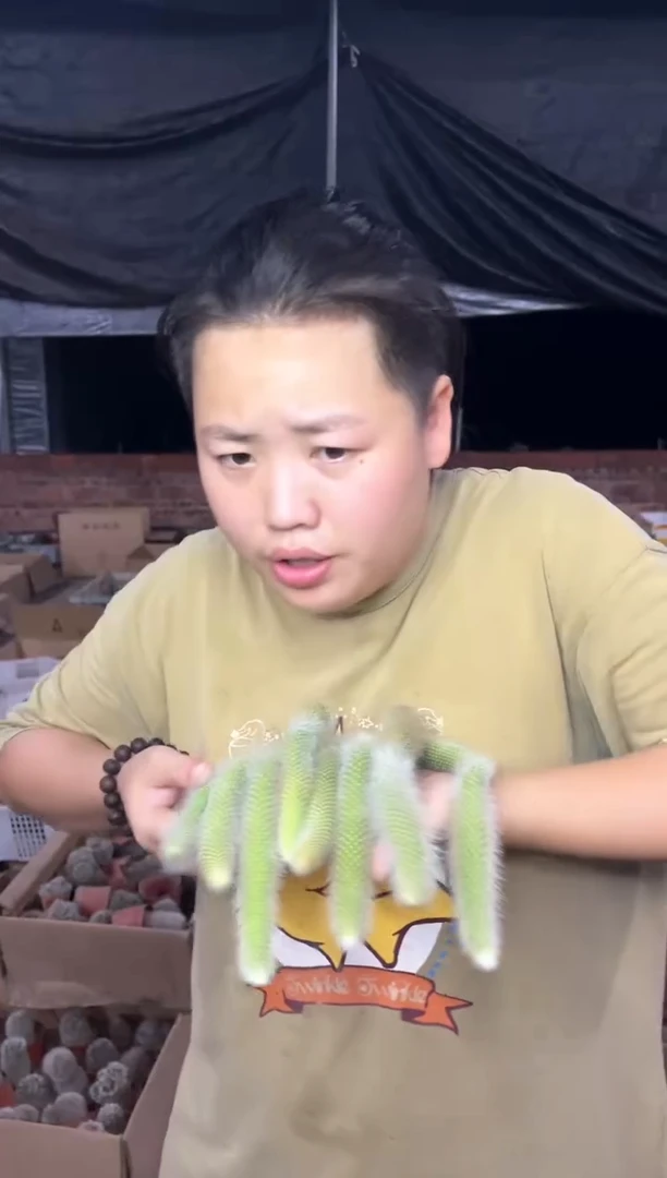 【闪购商品】7.26-35九尾狐无根8颗组9.99