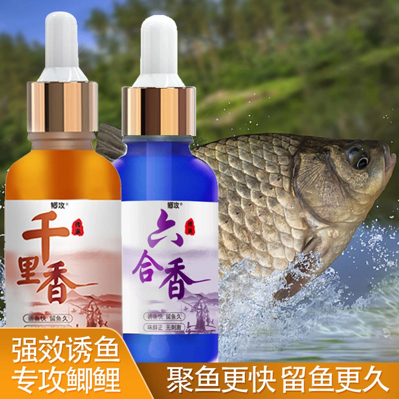 鲫攻千里香六合香钓鲫鱼鲤鱼饵料添加剂黑坑户外垂钓四季通用