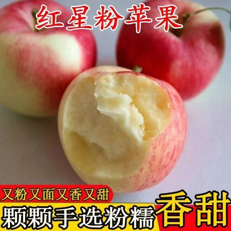 苹果好好吃 新鲜大苹果