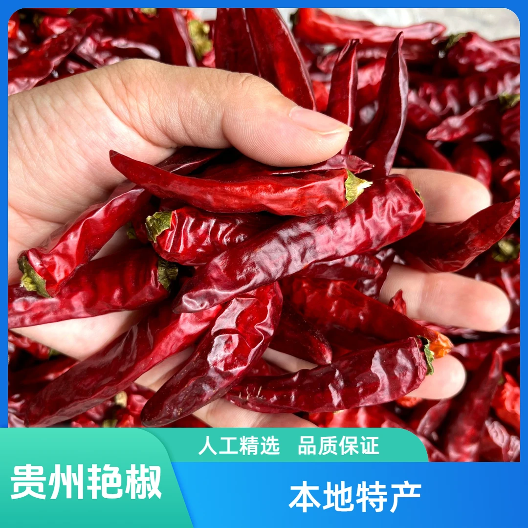 【中辣】贵州艳椒遵义农家干辣椒香辣炒菜火锅调味新货干红辣椒