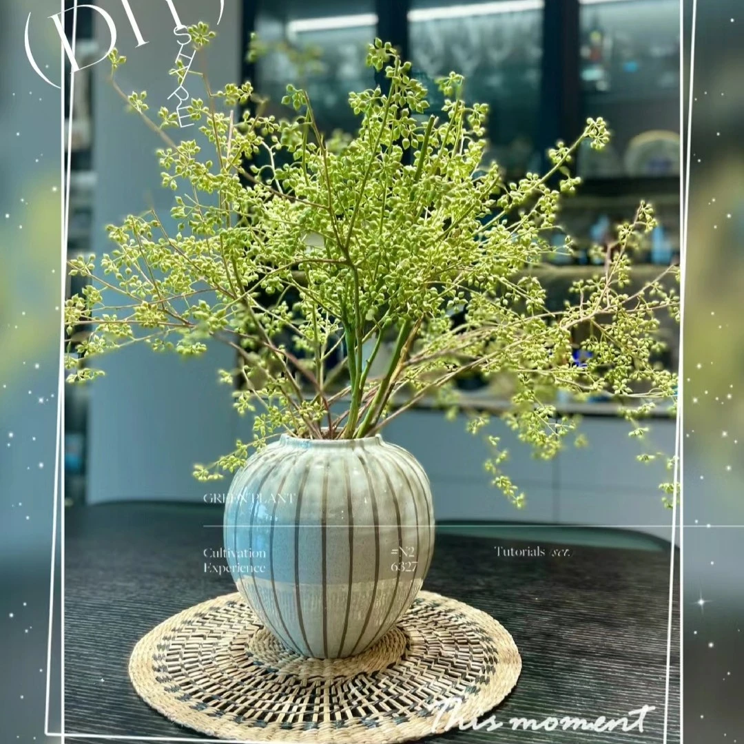 【山野花材1】天然云南山货果实花材（店内任意三单包邮）