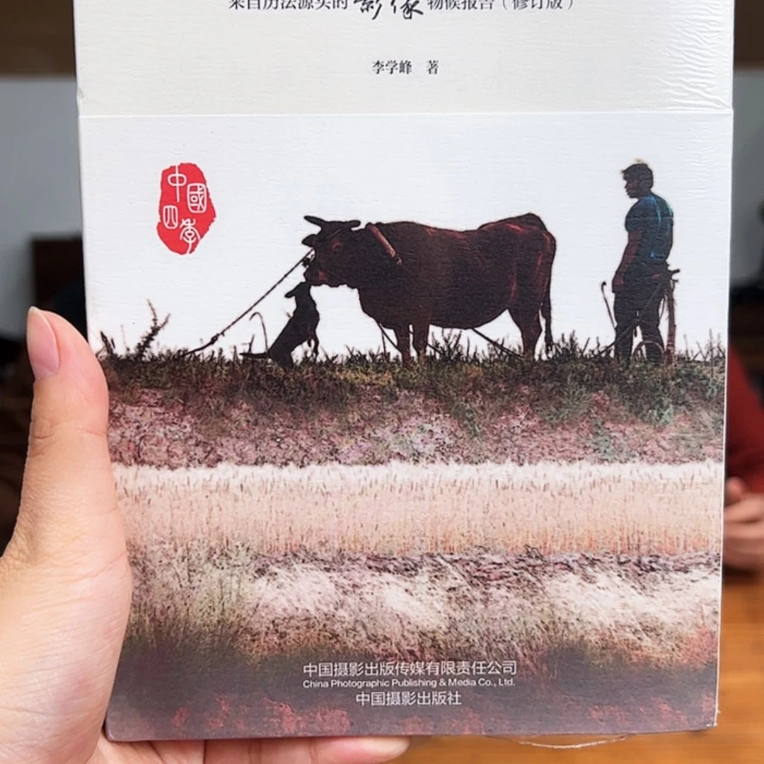 【闪购商品】紫砂茶壶陈*