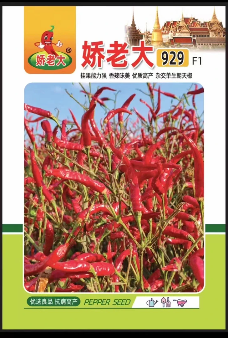 娇老大929（叶面肥）1袋装