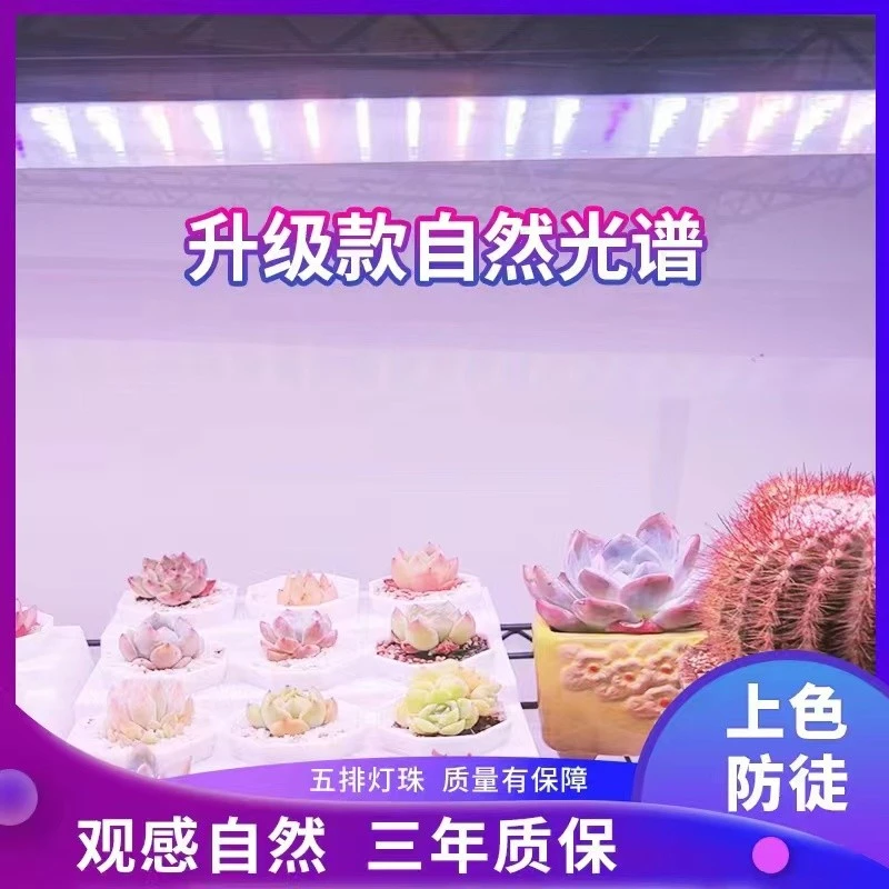 正阳全光谱大功率自然白光多肉补光灯绿植花卉室内上色防徒植物