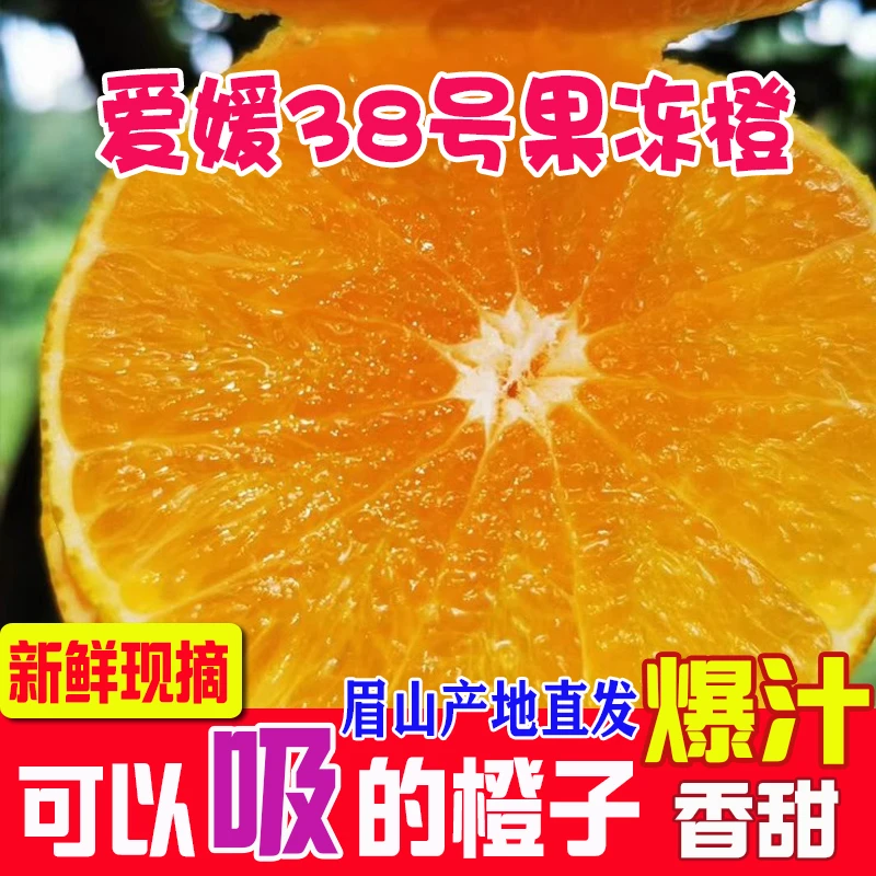 四川眉山爱媛38号果冻橙新鲜水果现摘当季橙子橘子香甜爆汁原产地