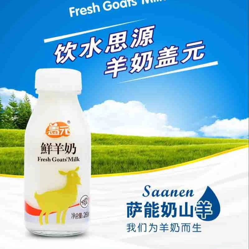 羊奶盖元鲜羊奶巴氏鲜奶低温正宗优质营养老少皆宜现挤鲜羊奶