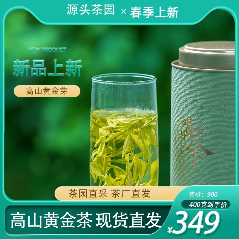 2024年新茶春茶黄金茶夏茶高山黄金芽绿茶一芽一叶两叶
