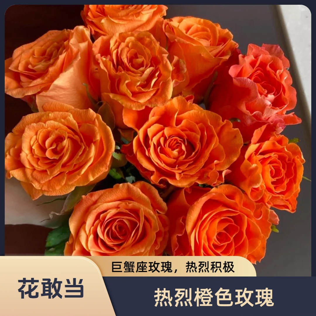 【花敢当】巨蟹座玫瑰 热烈 家用生活鲜花 云南鲜花基地顺风发货