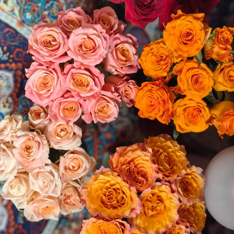 【267】对准编号下单❤一箱顺丰包邮❤玫瑰鲜花福利组合❤20%不售后