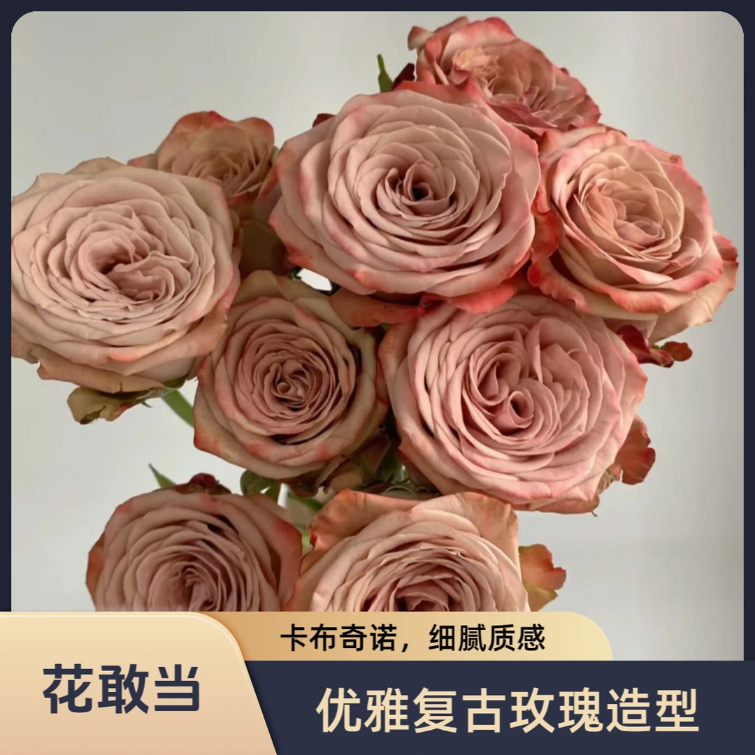 【花敢当】卡布奇诺玫瑰 复古 家用生活鲜花 云南鲜花基地顺风发货