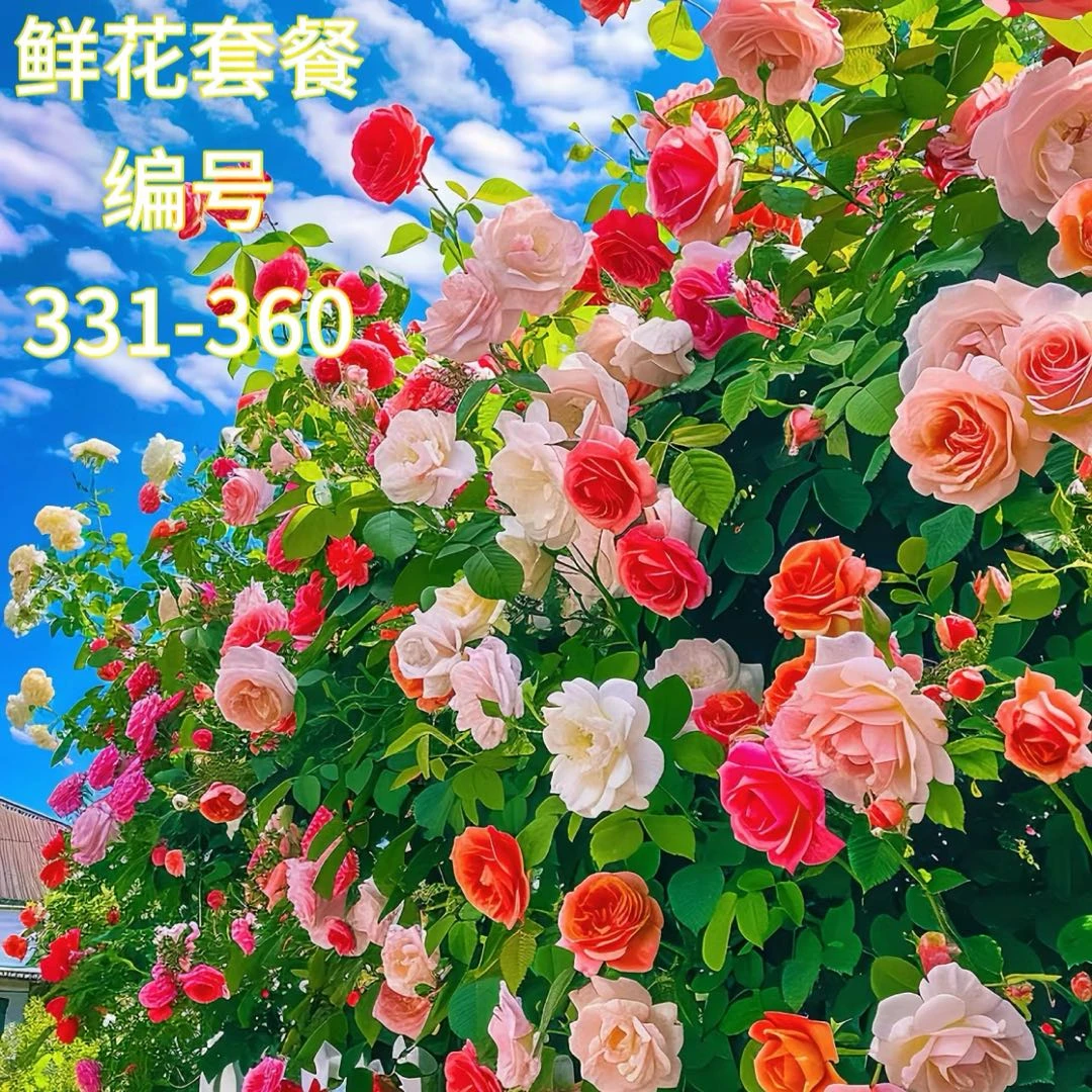【一箱一拍 10月13日】331-360对准编号下单❤一箱顺丰/京东发❤鲜花