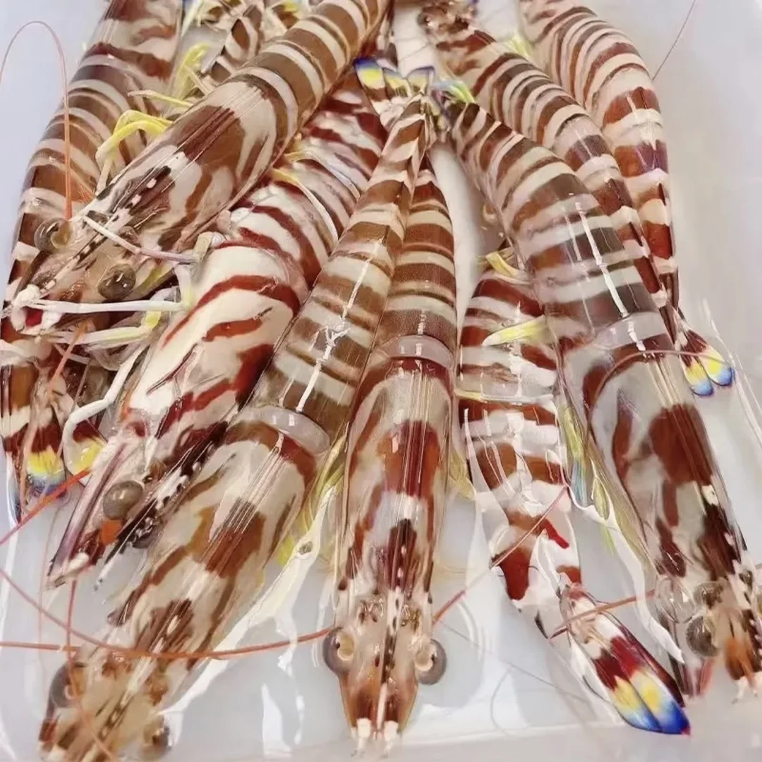 湛江花虾速冻新鲜深海鲜嫩美味披着美美味厄瓜多尔大虾线大虾正宗