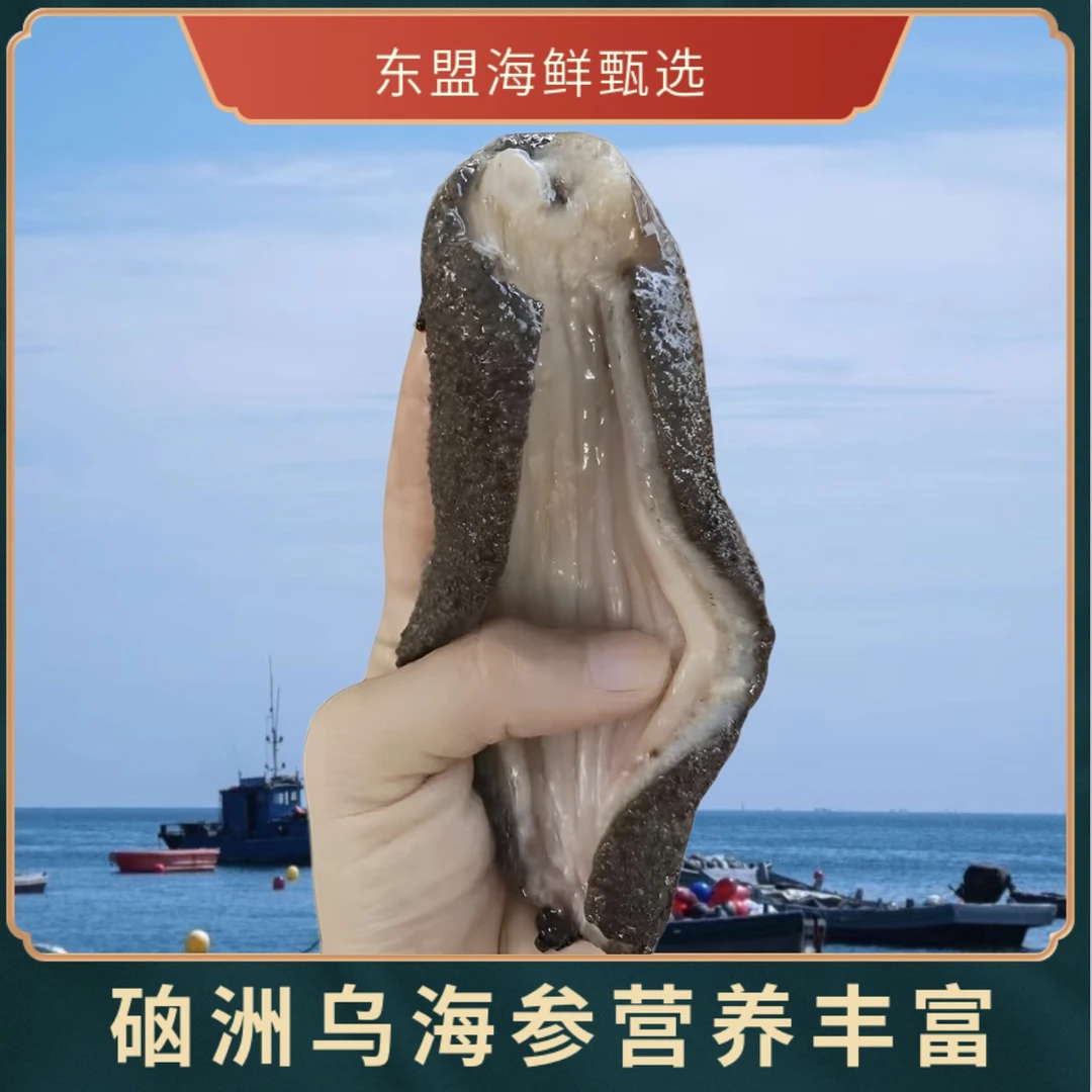 湛江硇洲特产乌深海鲜活速冻海参酒店专用宝妈煮汤炒营养滋补独立