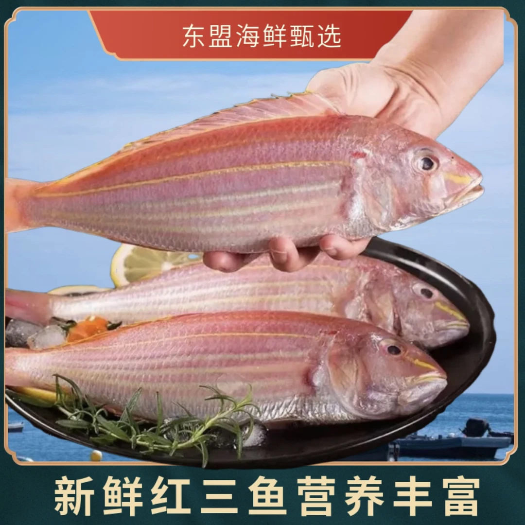 红三鱼渔民深海海钓海鱼肉质鲜嫩红杉鱼配鲜活冷冻冷链新鲜海捕