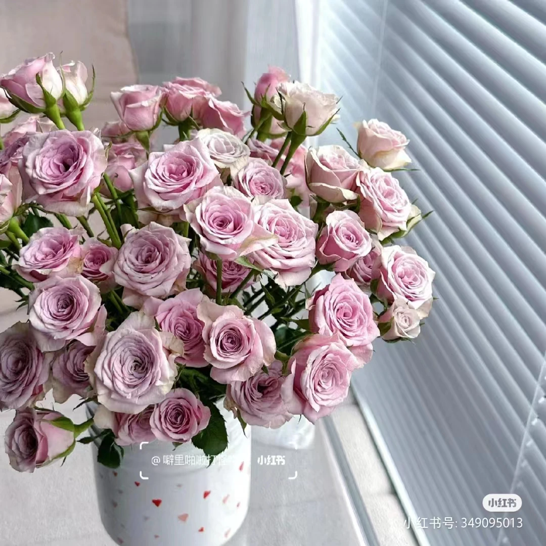 鲜花  莱拉泡泡10支 【1枝内损耗不售后，介意勿拍】