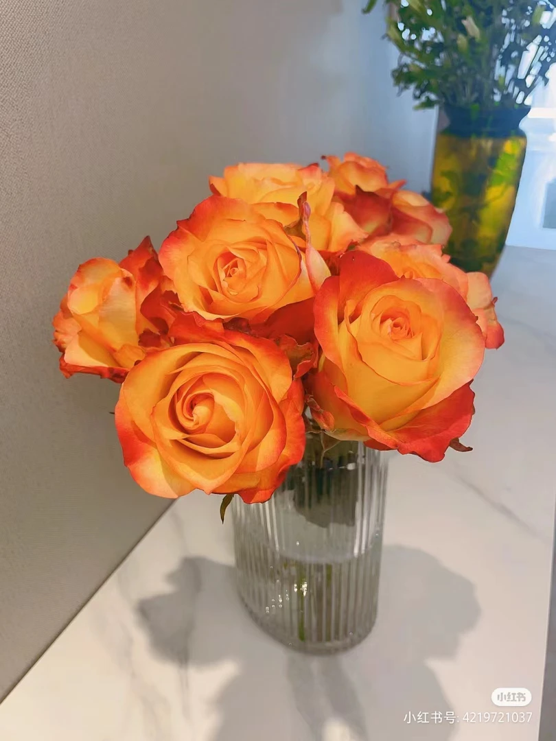 鲜花   【40-45cm】 花头小 金辉20枝【任意2份顺丰包邮】
