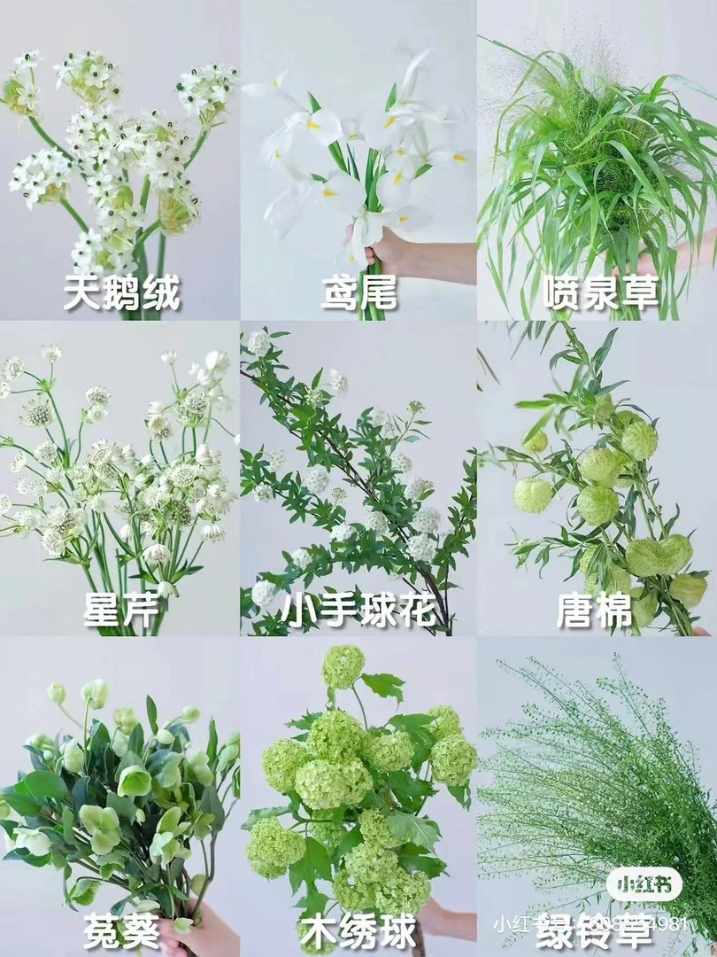 有点甜鲜花 自选 鲜花(京东冷链发货 满3份包邮)