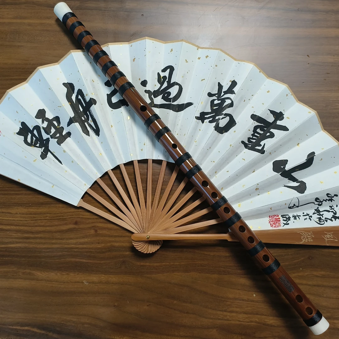 艺璇er老师亲选（轻舟）