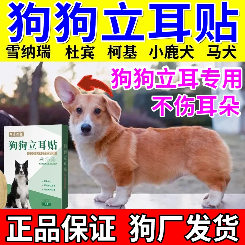 狗狗立耳神器辅助器狗狗立耳贴杜宾雪纳瑞马犬德牧黑狼犬种通用贴
