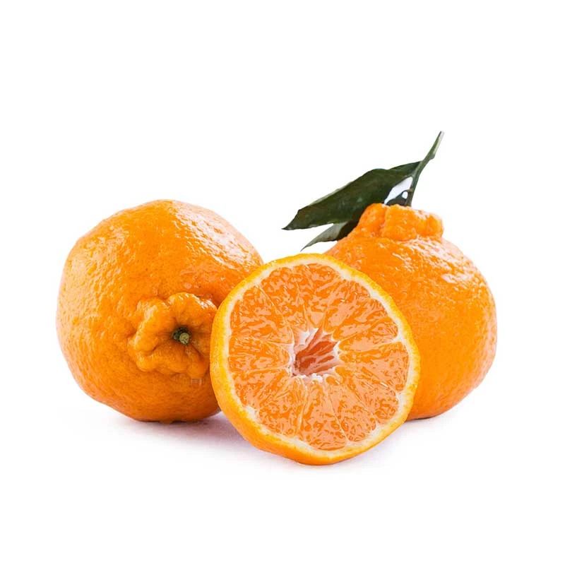 【水果】四川耙耙丑柑约1000g