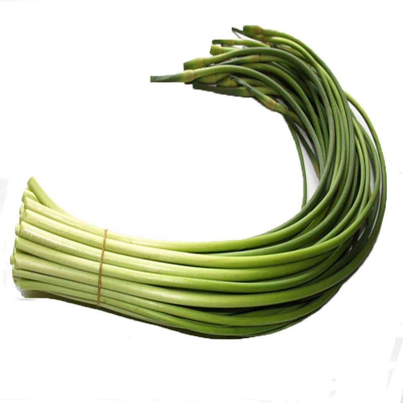 【蔬菜】鲜蒜苔约1kg