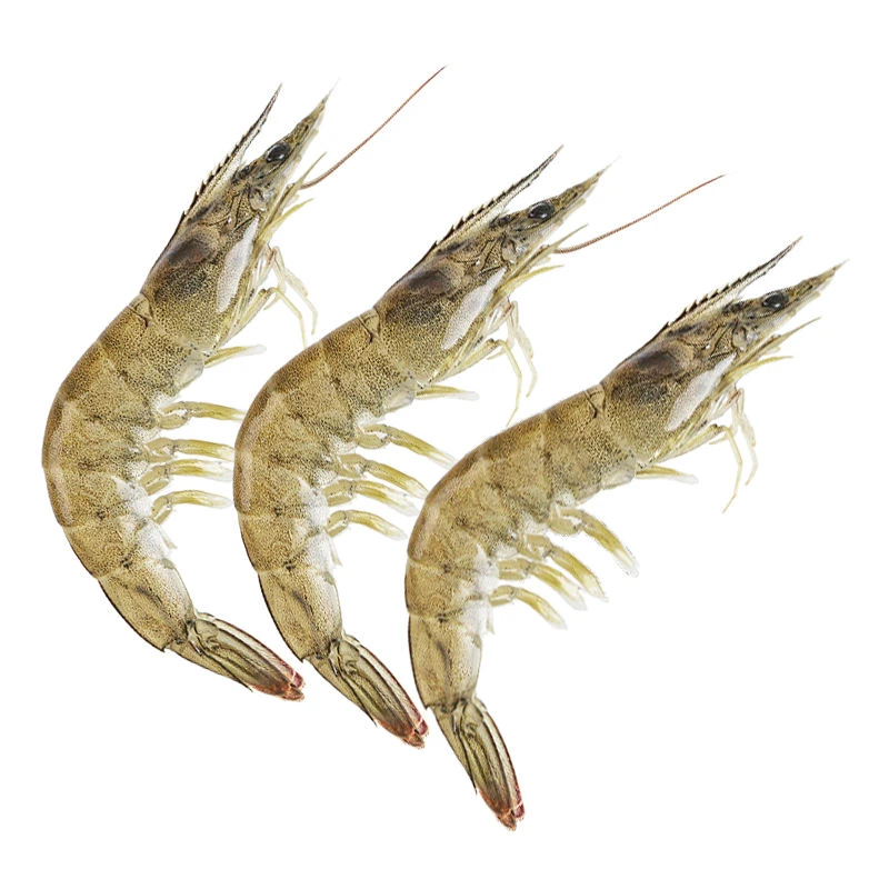 【鲜活】鲜活虾250-300g/份