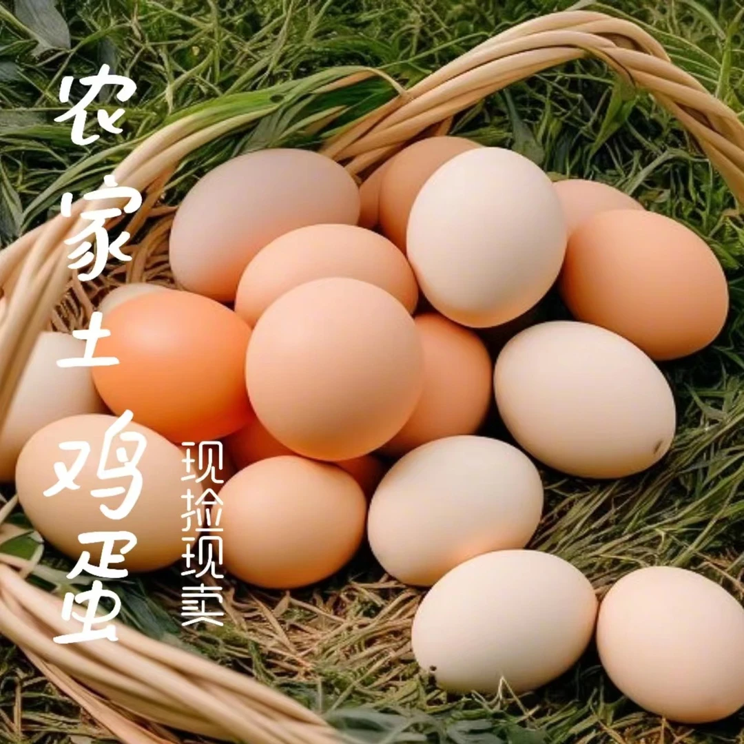 （顺丰包邮）农家散养土鸡蛋 50枚农村土鸡蛋