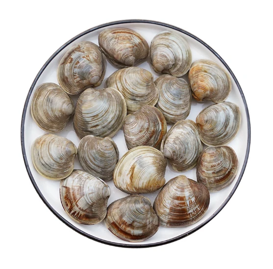 花甲（约500g）/份