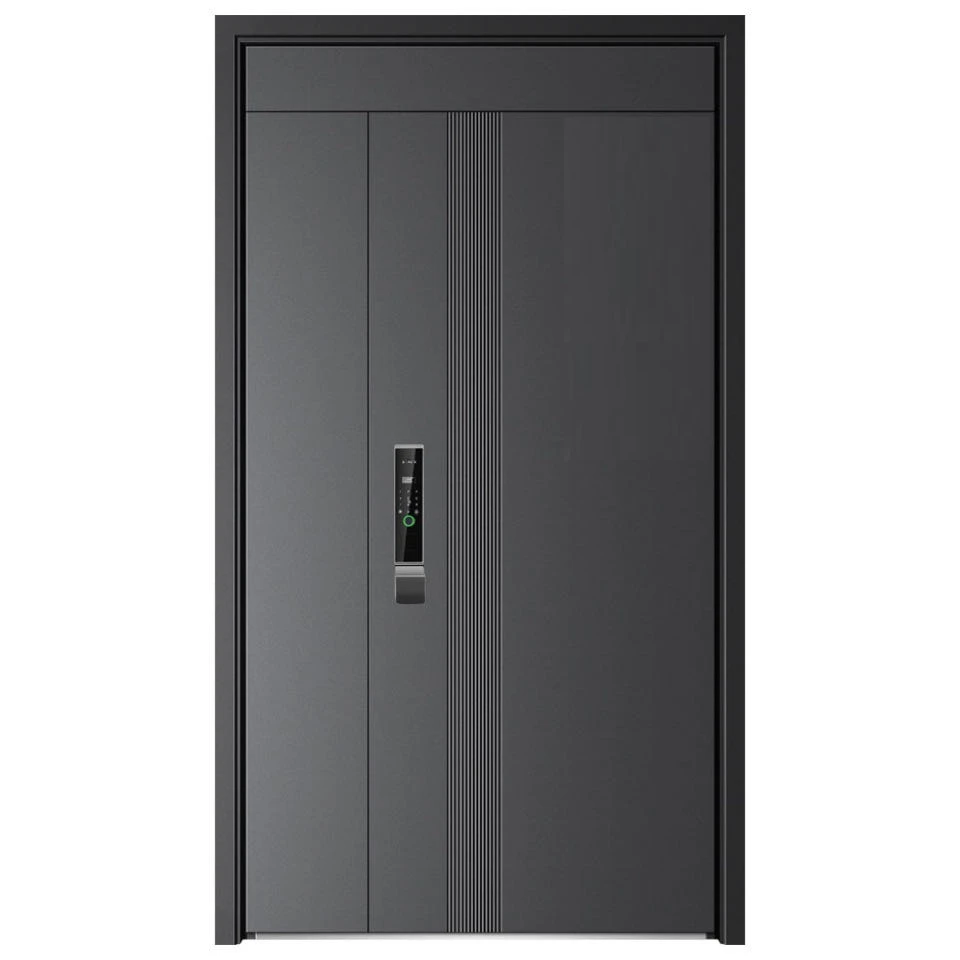 五岳-10公分T型甲级防盗门智能密码锁安全门