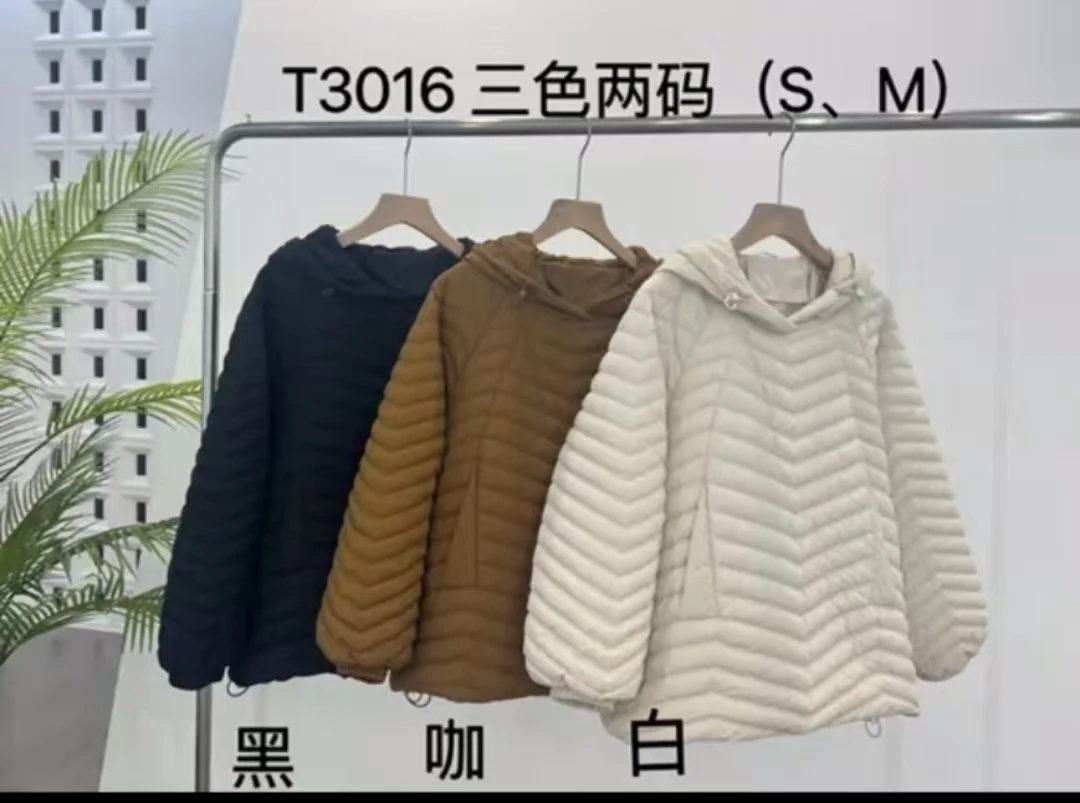 3016秋冬新款休闲百搭简约文艺风套头连帽羽绒服