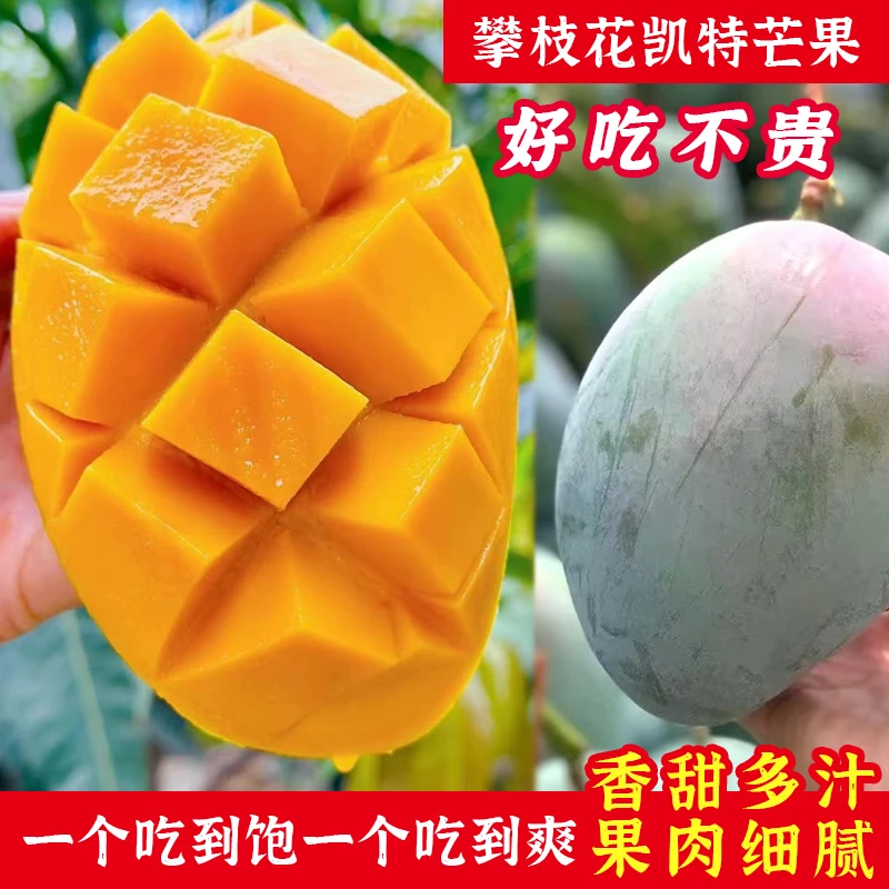 XYY【放软再吃】四川攀枝花凯特芒果香甜多汁青皮大芒果3斤/9斤