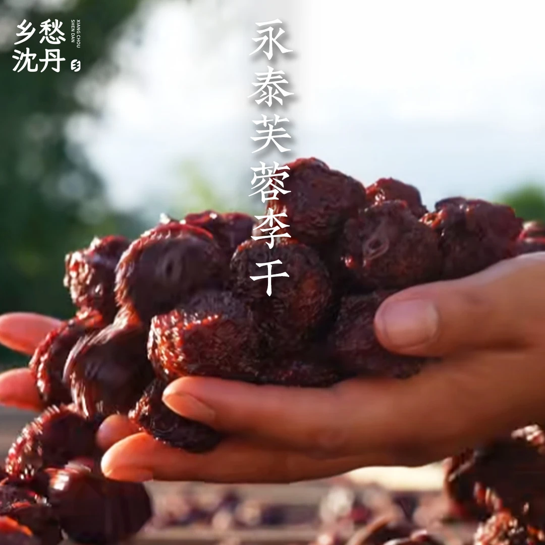 乡愁沈丹永泰芙蓉李干福建特产新鲜传统蜜饯自然烘干酸甜可口230g