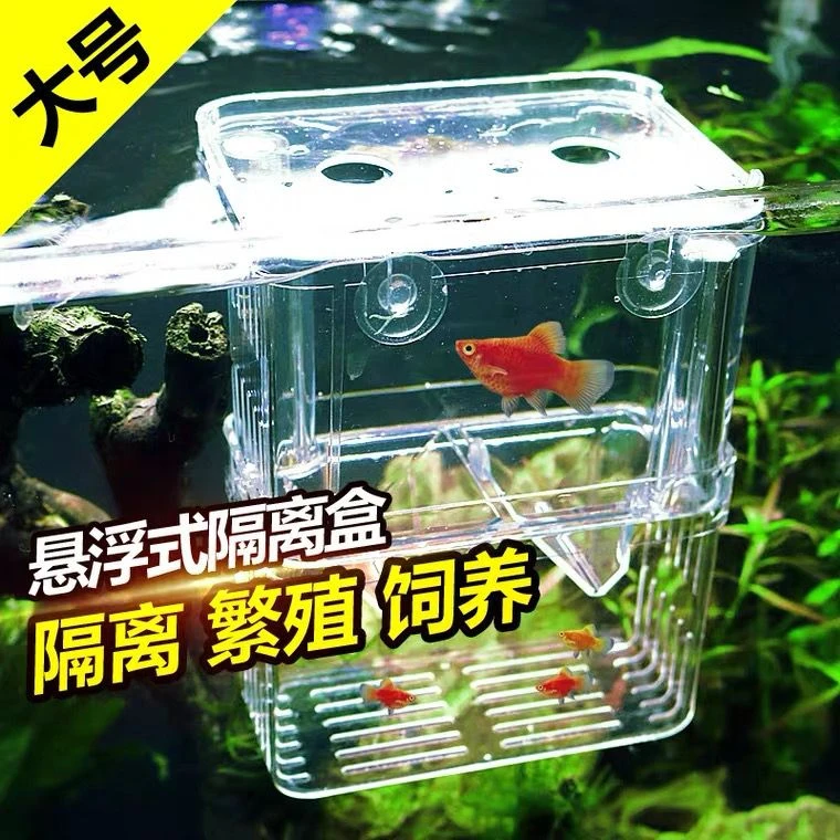 小鱼繁殖隔离盒鱼缸母鱼宝宝悬浮孵化盒孔雀鱼斑马鱼天使鱼热带鱼