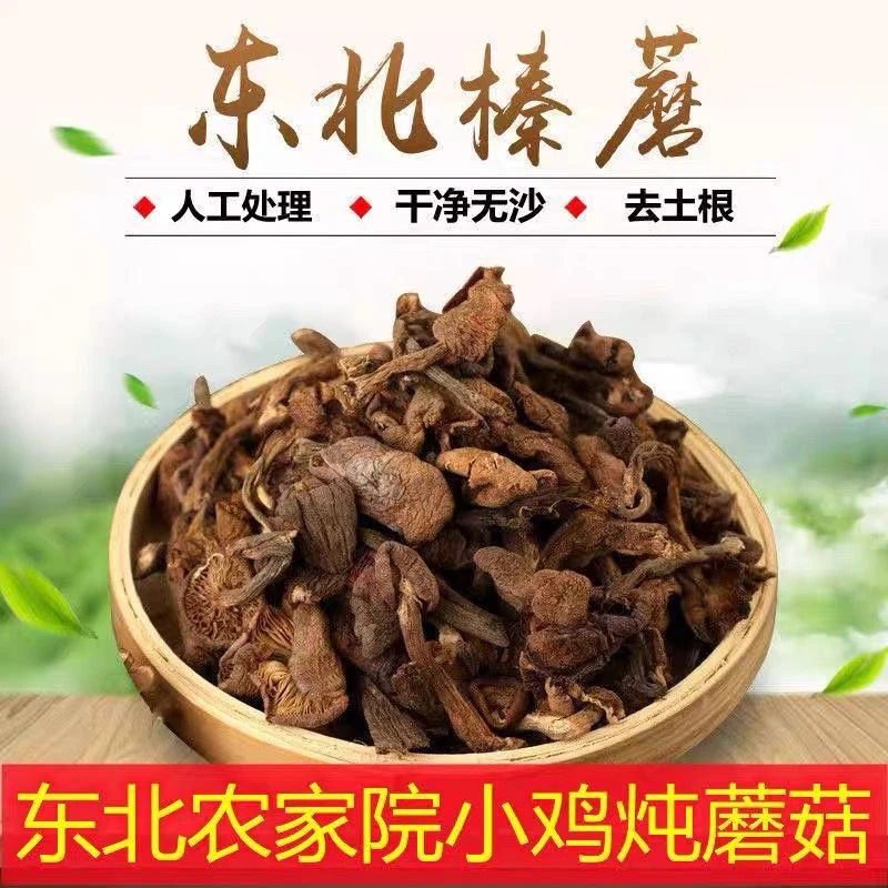 寒地东北小鸡炖蘑菇野生榛蘑新鲜手工晾干榛蘑干净无根