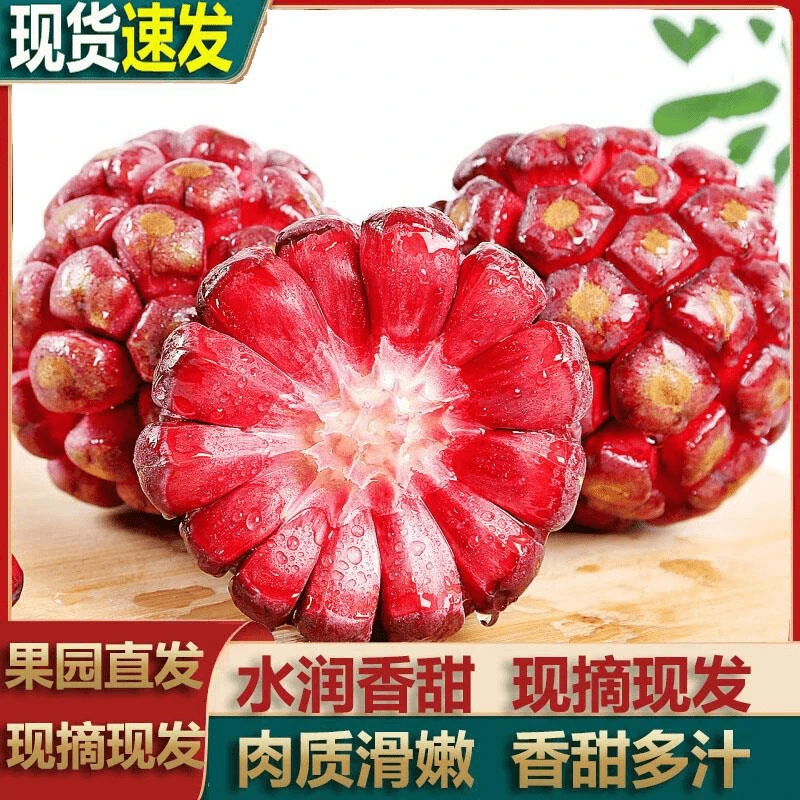 新鲜黑老虎水果大血藤果布福娜酒饭团稀奇古怪当季稀有恶魔果包邮