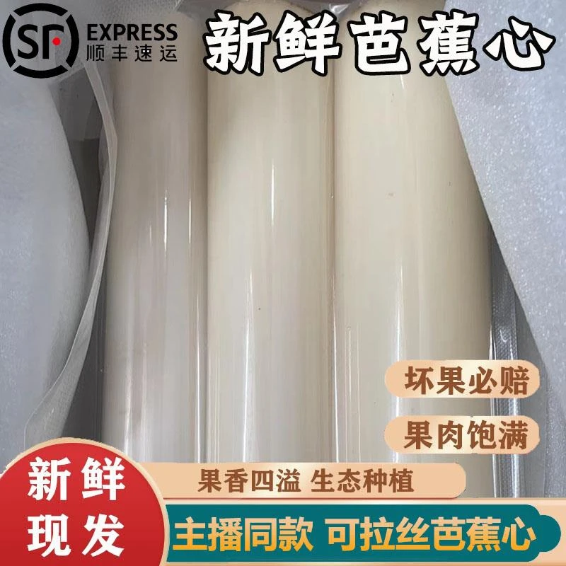 新鲜拉丝芭蕉树心芭蕉心拉丝天然芭蕉树芯香蕉树芯芭蕉芭蕉心