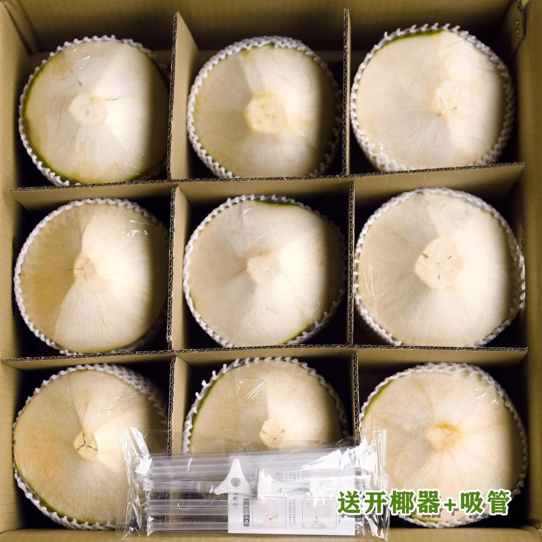 现摘天然海南新鲜食用椰子去皮椰青孕妇中老年健康水果2-9个装